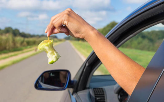 How to choose the best garbage bin for your car